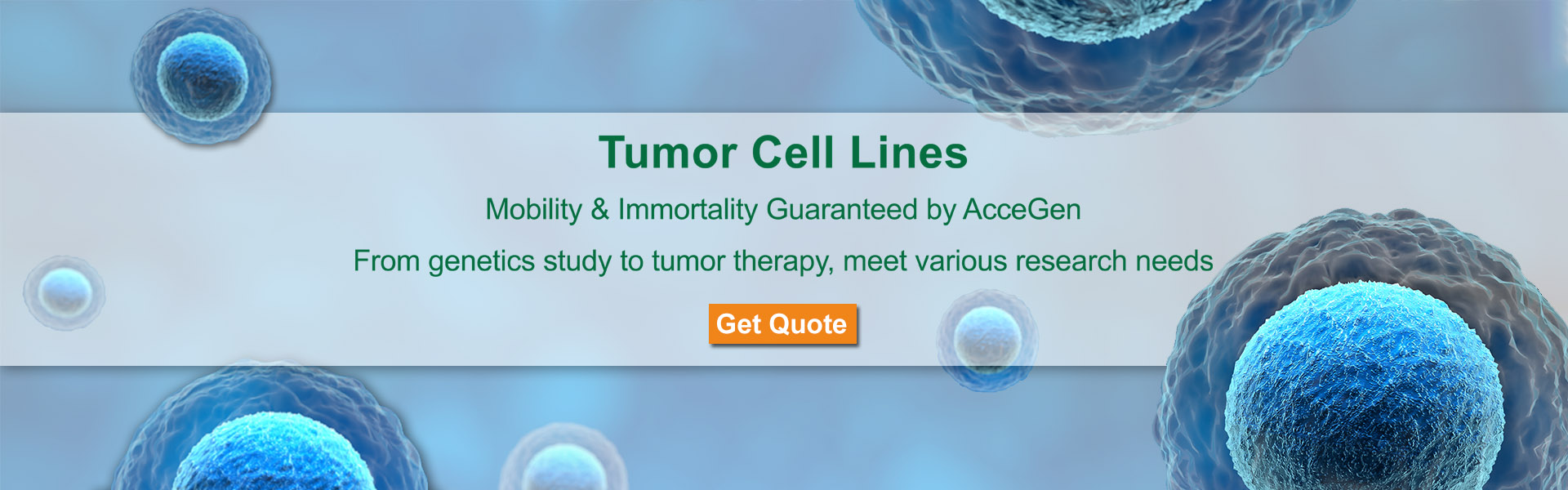 1604656667248178.jpg BANNER-ACCEGEN TUMOR CELL LINES.jpg