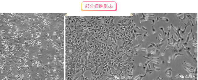 1632475362677368.png QQ圖片20210924172201.png