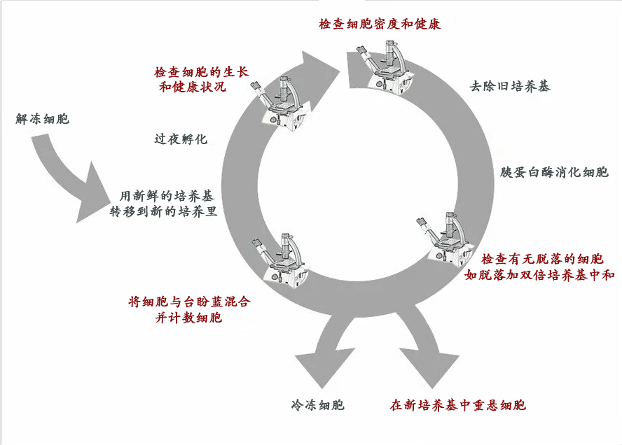 圖片2.png