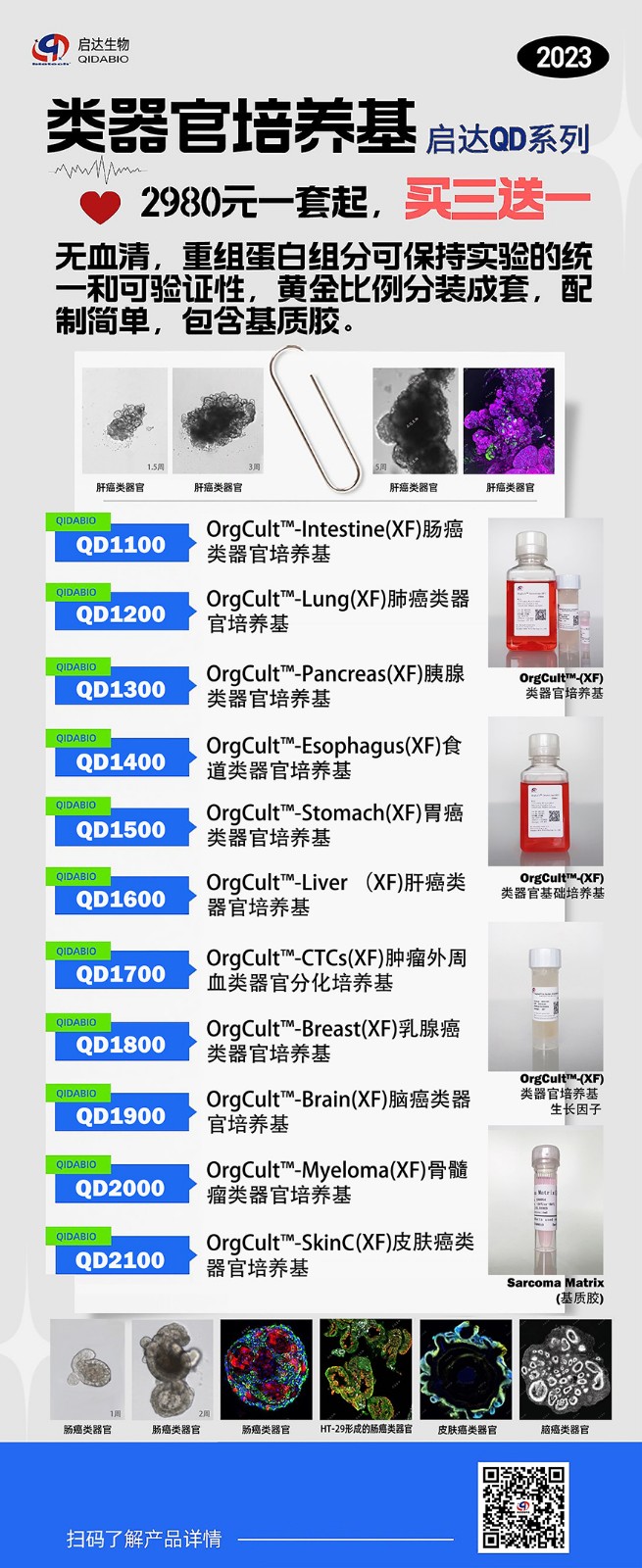 1681888083556381.jpg 類器官單頁.jpg