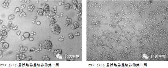 微信圖片_20230824101233.png