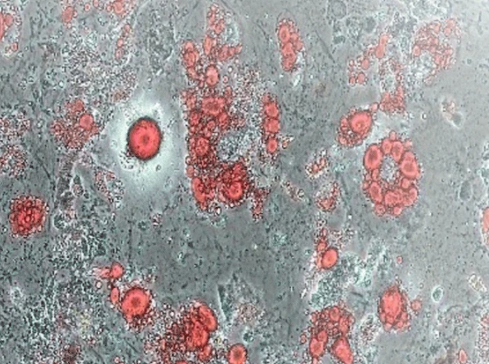 1695276661709277.png 圖片2.png