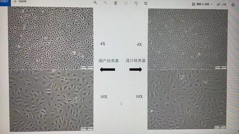 1698370500869551.jpg