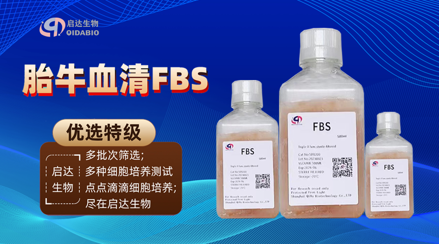 1758181325629309.png 微信圖片_20250918104106_666_5596.png