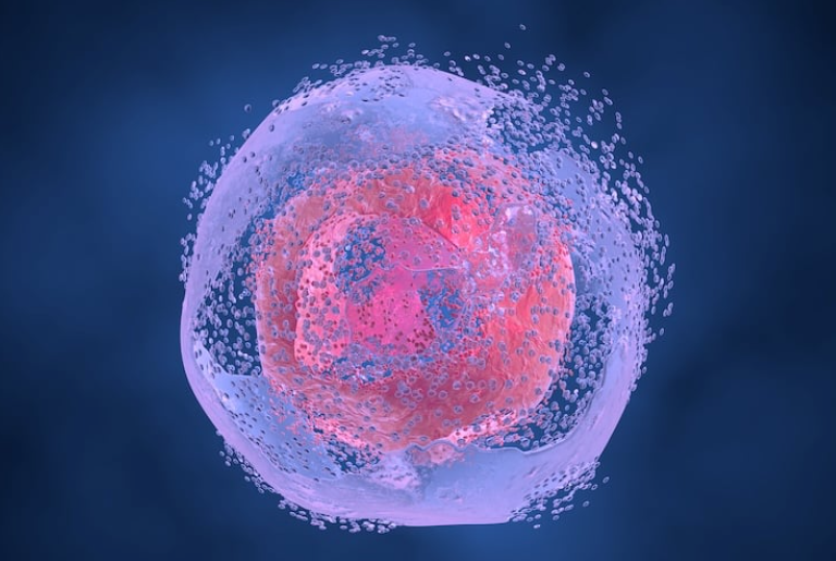 1761208224746761.png 公眾號.png