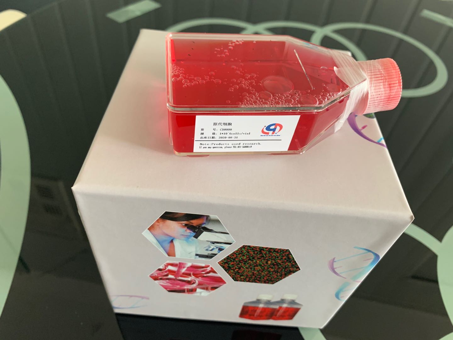 免疫熒光的坑您中了幾個(gè)？