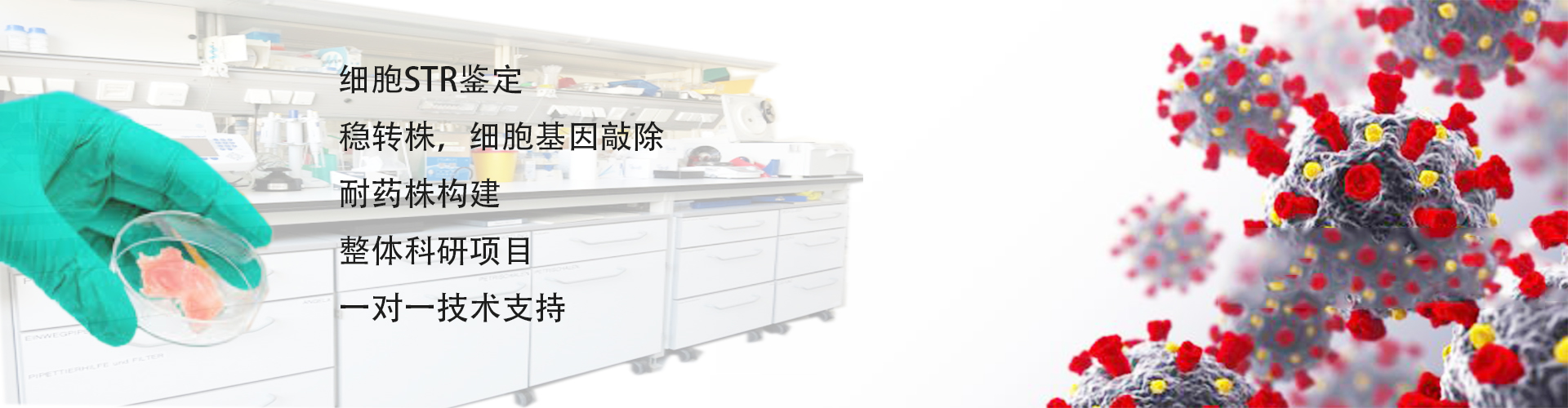 DNA提取的常見8個(gè)問題解答