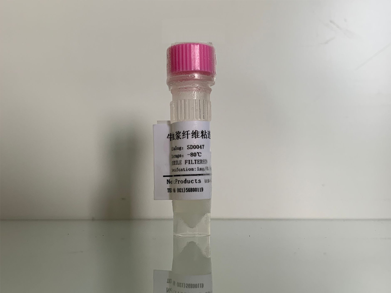 纖維粘連蛋白(FN)