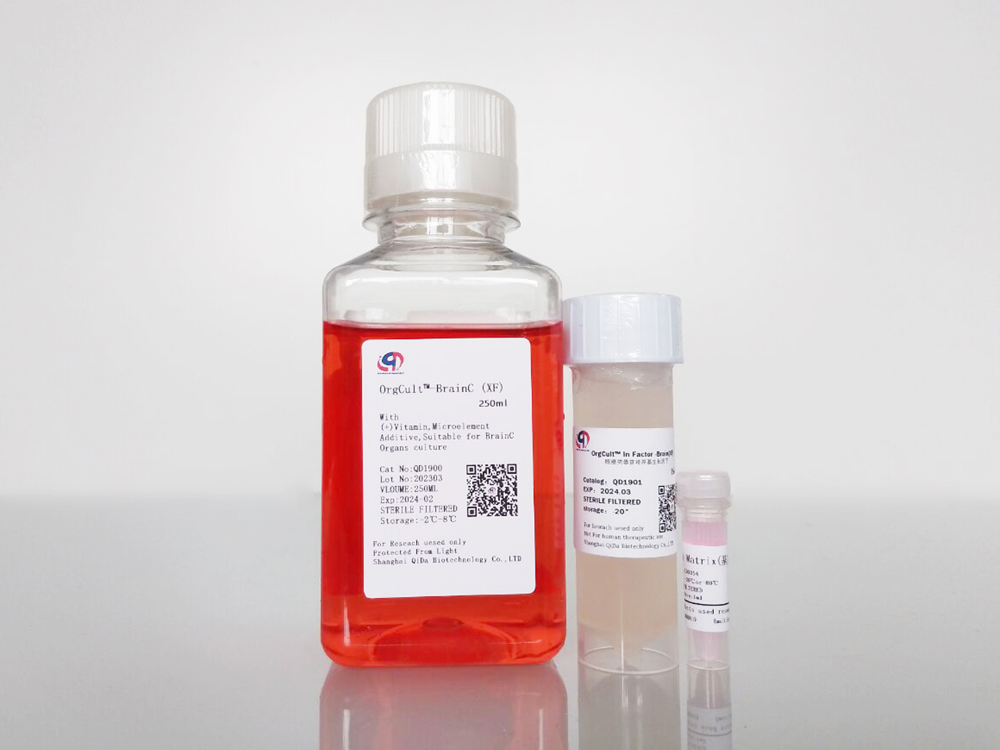 OrgCult?-Brain(XF)腦癌類器官培養(yǎng)基