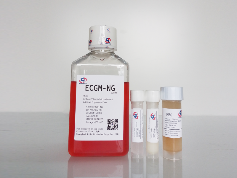 ECGM內皮細胞培養(yǎng)基