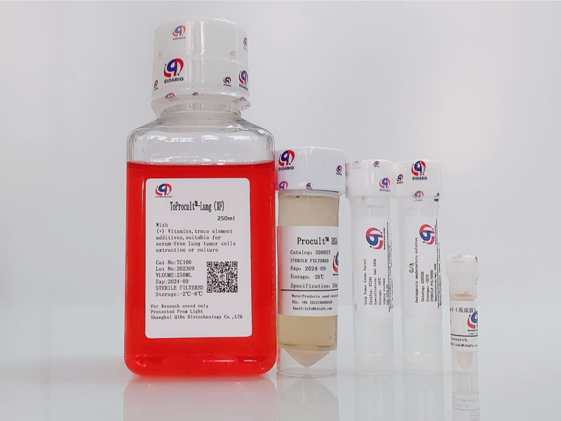 ToProcult?-Lung Medium原代肺癌細(xì)胞培養(yǎng)基(XF)