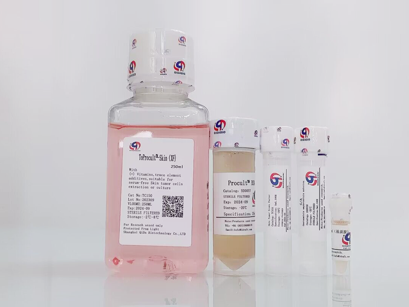 ToProcult?-Skin Medium 原代皮膚癌細胞培養(yǎng)基(XF)