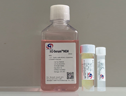 L-Serum? MEM培養(yǎng)基