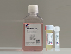 L-Serum?F10減血清培養(yǎng)基
