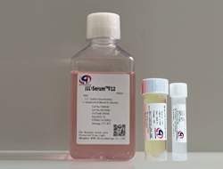 L-Serum?F12減血清培養(yǎng)基