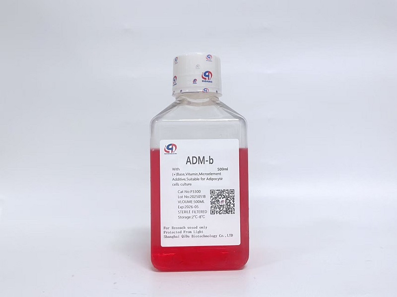ADM-b 脂肪細(xì)胞培養(yǎng)基