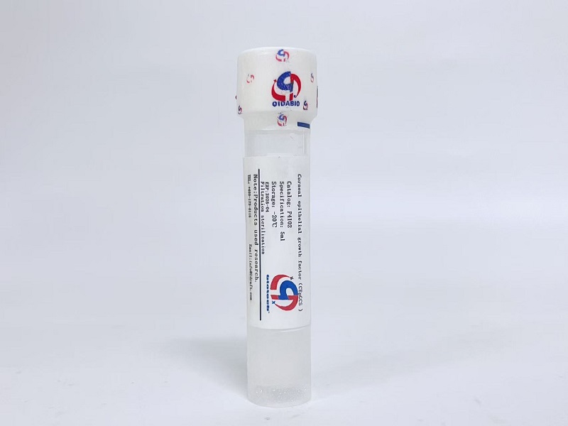 角膜上皮細胞生長因子CEpGCS