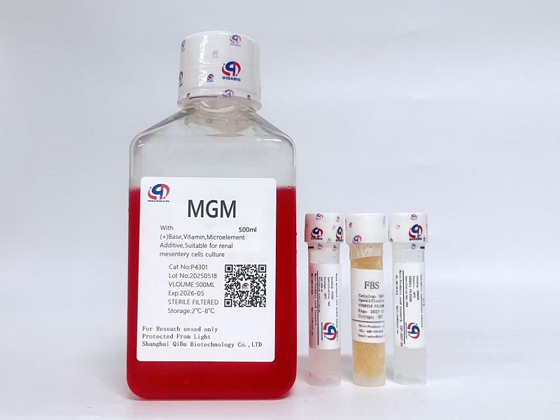 MGM腎系膜細胞培養(yǎng)基