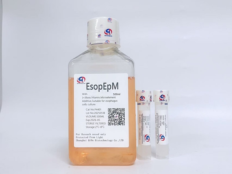 EsopEp 食道上皮細(xì)胞培養(yǎng)基