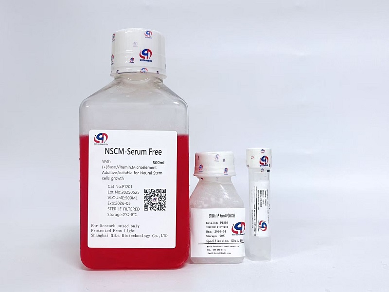 NSCM-Serum Free 無血清神經(jīng)干細(xì)胞培養(yǎng)基