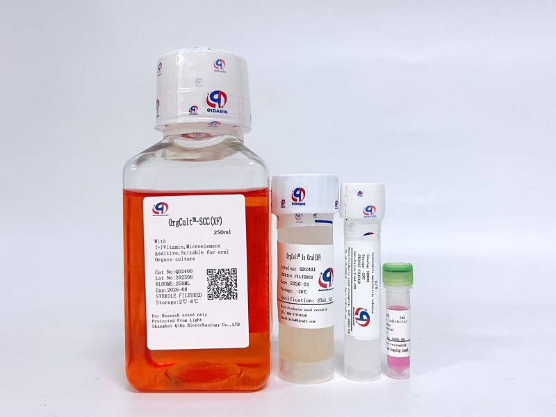OrgCult?-SCC(XF)口腔癌器官培養(yǎng)基