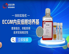 內(nèi)皮細(xì)胞的研究表型匯總