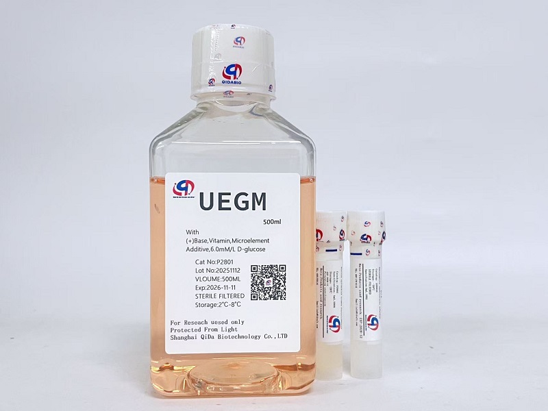 UEGM子宮上皮細胞培養(yǎng)基